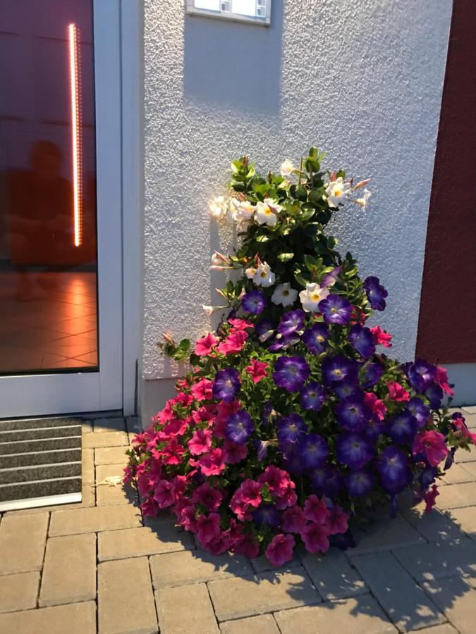 Ferienwohnungen Am Feldrain - Gornau Im Erzgebirge Zschopau المظهر الخارجي الصورة