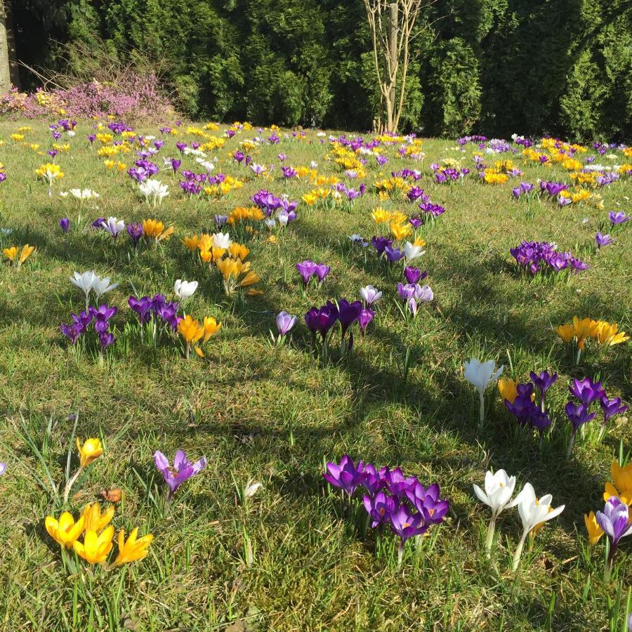 Ferienwohnungen Am Feldrain - Gornau Im Erzgebirge Zschopau المظهر الخارجي الصورة